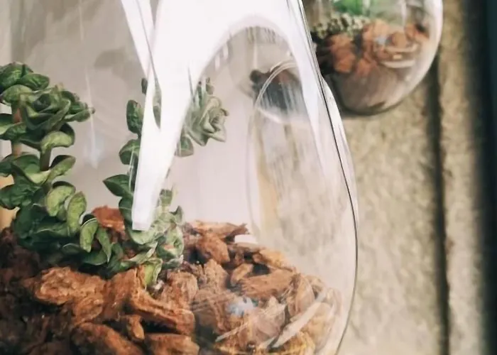 カサ ド マルケス ホテル バイヨーナ